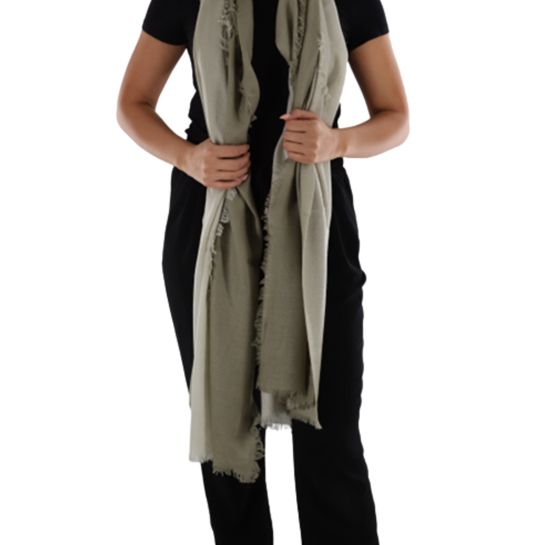 Ombre Scarf with Frayed Border