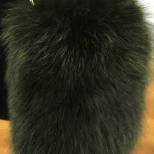 Cross Body Purse w/ Fox Fox and Adjustable Strap -  - La Fiorentina, Green TC-HH12016013