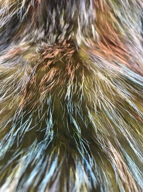 Over Sized Muffler -  - La Fiorentina,Green CTY1702