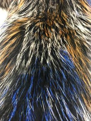 Over Sized Muffler -  - La Fiorentina,Blue CTY1701